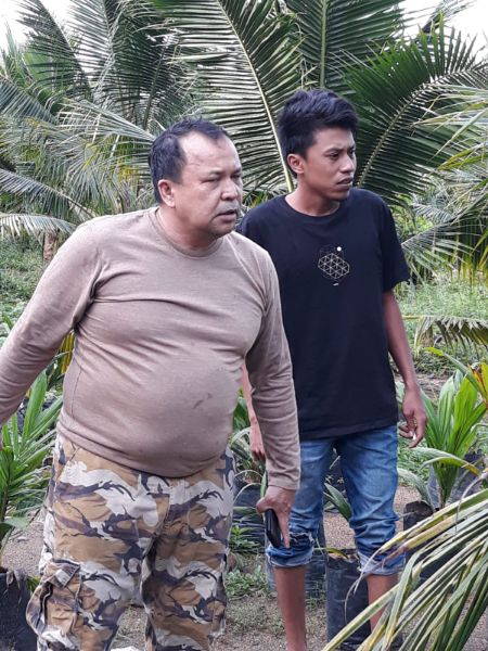 Ketua Apkasindo Sulsel Harap Kebijakan DMO dan DPO Kemendag Berpihak ke Petani