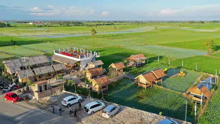 Manjakan Pelanggan, Management Tepi Sawah Sidrap Punya Chef Ahli Makanan Seafood