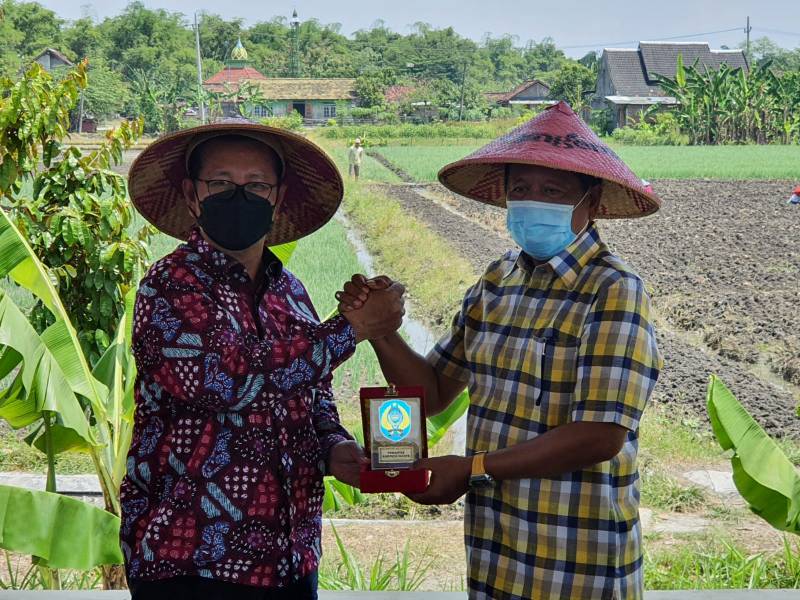 Kaswadi Studi Tiru Pengembangan Bawang Merah di Nganjuk