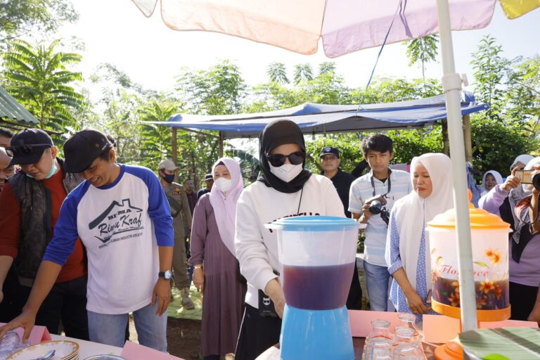 Wakil Walikota Makassar Kunjungi Lorong Edu Park Manggala