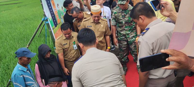 Gemapatas, Soppeng Patong Dua Ribu Batas Tanah