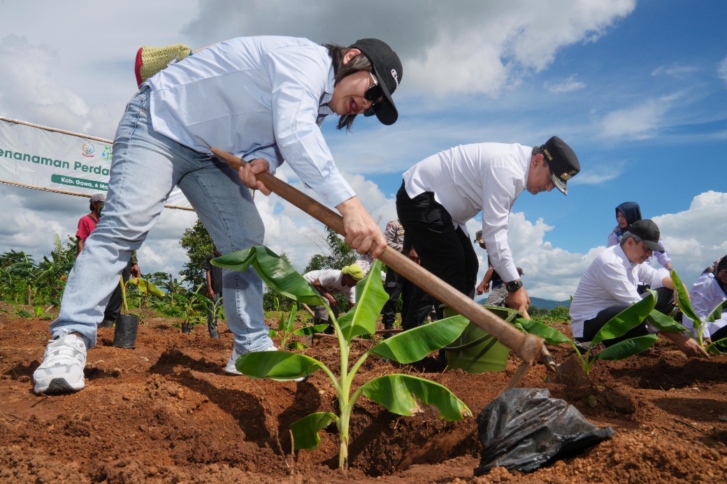 Pemprov Sulsel – GGF Teken MoU Budidaya Pisang Cavendish di Gowa