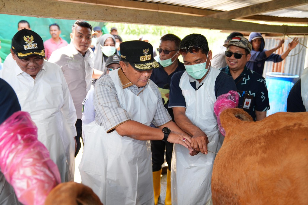 Melalui Inseminasi Buatan, Pj Gubernur Sulsel Dorong Peternak Jadi Pengusaha Ternak