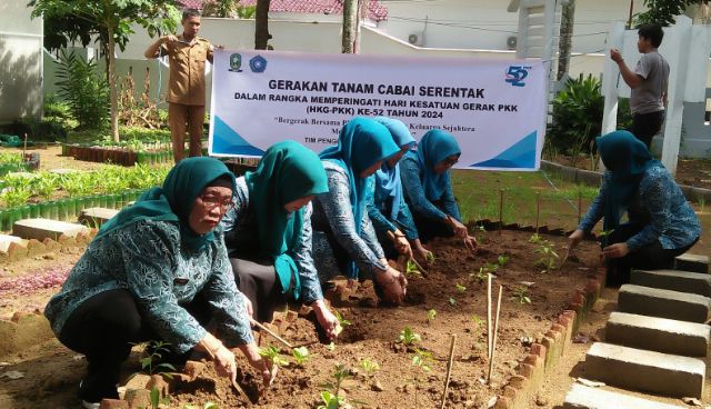 Rangkaian HKG PKK ke-52 Sinjai, Ibu-ibu PKK Edukasi Program Gertam