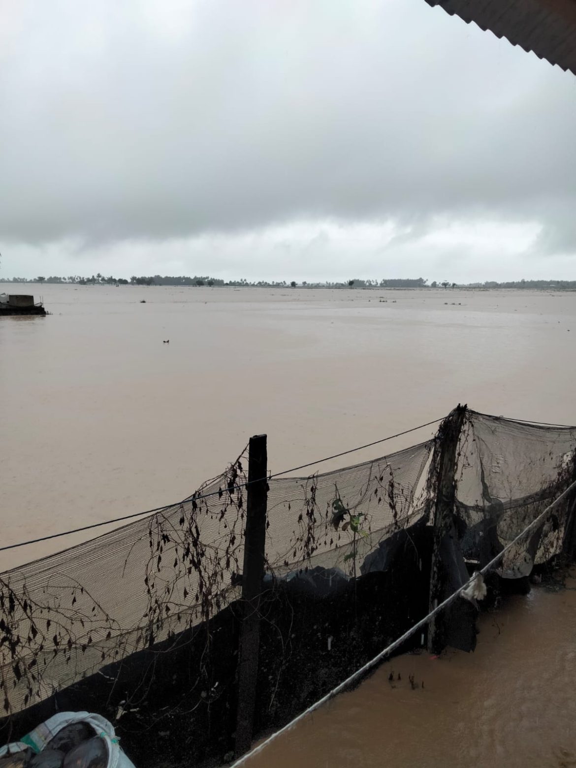 Warga Pujo Bulucenrana Sidrap Mulai Ketakutan, Minta Segera di Evakuasi dari Jebakan Banjir