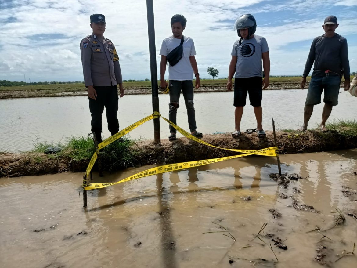 Diduga Keracunan Pestisida, Petani di Sidrap Ditemukan Meregang Nyawa di Pematang Sawah