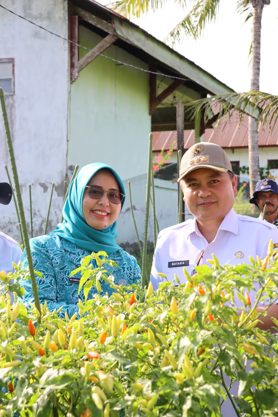 Bersama Pj Bupati Wajo dan Forkopimda Kab. Wajo Tanam dan Panen Perdana Cabai di Majauleng