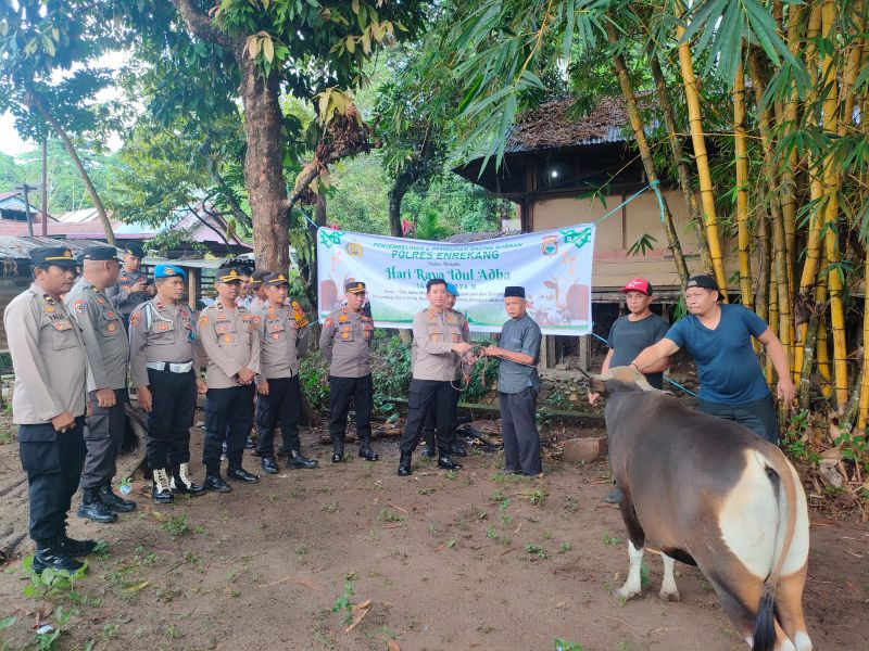 Polres Enrekang Melaksanakan Penyembelihan Hewan Qurban