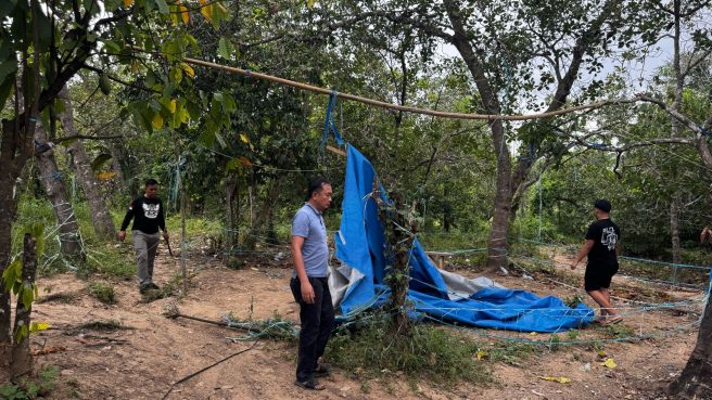 Petugas Polres Wajo membongkar lokasi sabung ayam di Kalola, Maniangpajo.