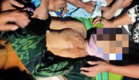 Jasad korban serangan buaya di Sungai Bulete, Pitumpanua, Wajo, telah dievakuasi dan disemayamkan di rumah duka.