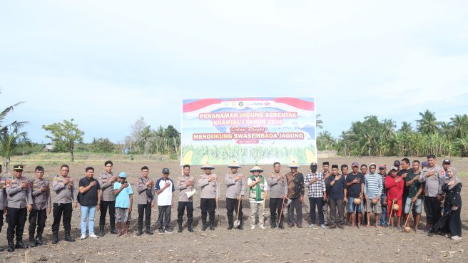 Kapolres Wajo AKBP Muhammad Rosid Ridho bersama jajaran Polri, pemerintah kecamatan, dan kelompok tani melakukan penanaman jagung serentak di lahan Polsek Sabbangparu.