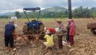 Personel Polda Sulsel bersama petani menanam jagung di lahan binaan untuk mendukung swasembada pangan 2026