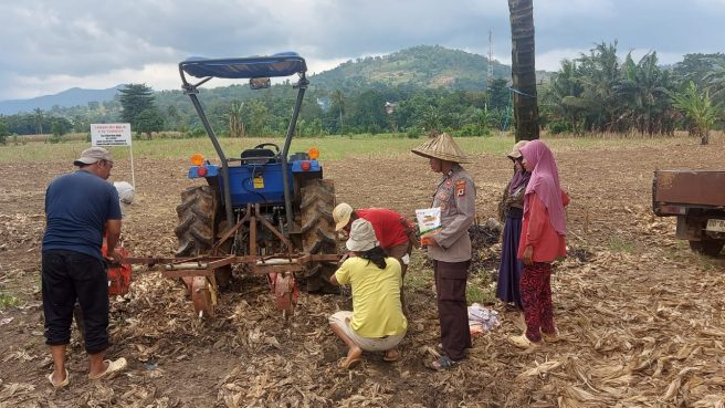 Personel Polda Sulsel bersama petani menanam jagung di lahan binaan untuk mendukung swasembada pangan 2026